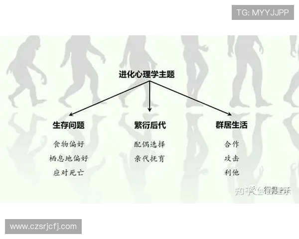足球裁判决策系统背后的生物力学与心理学 足球裁判决策系统背后的生物力学与心理学