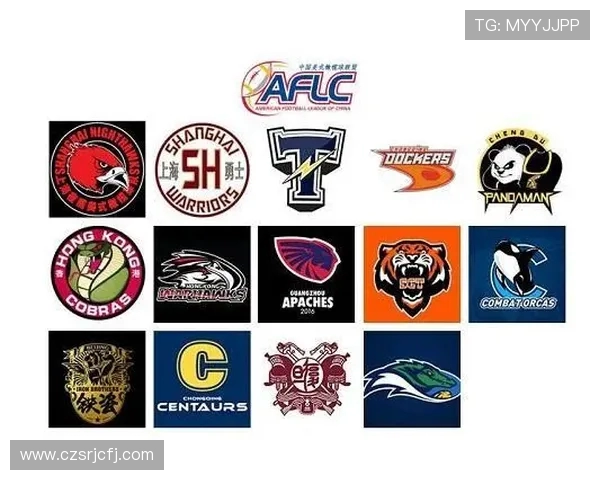 足球赛事与CBA联赛竞技魅力及受众群体特点的对比分析