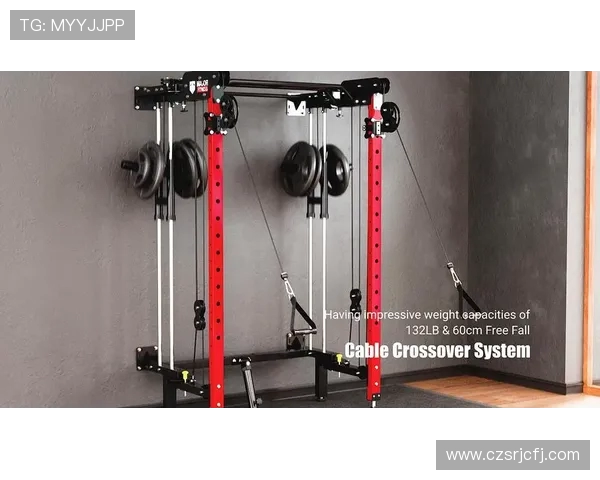 预算有限如何打造高效力量训练器械组合推荐